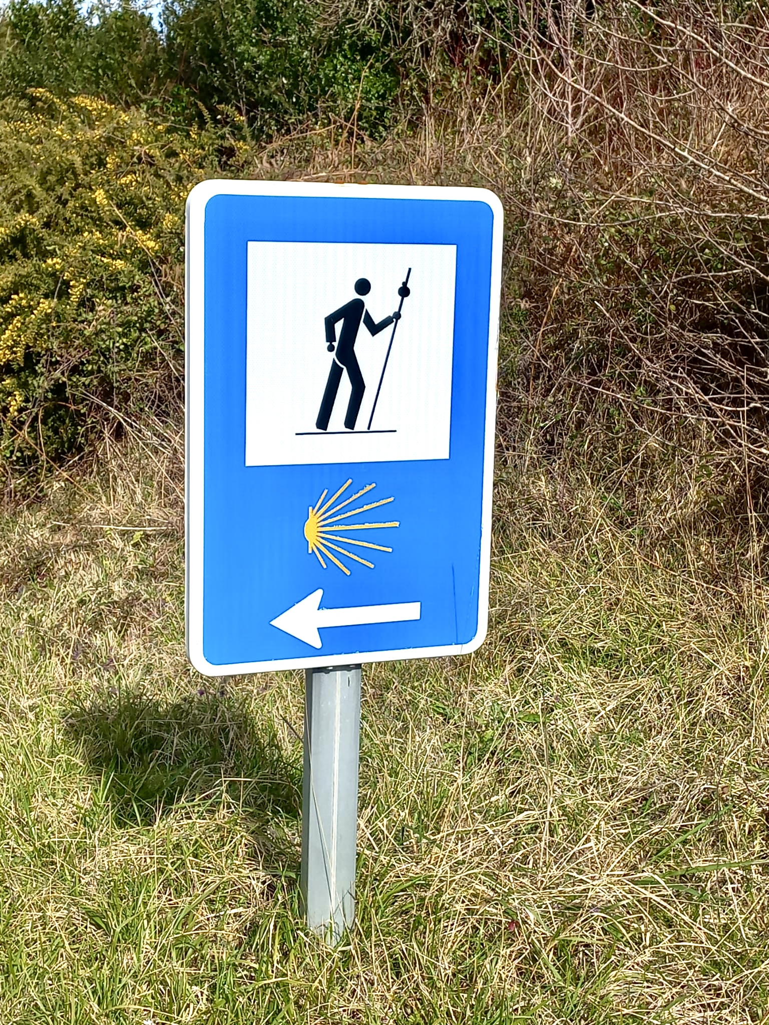 🍅 Tu Imperio del Tamarillo en Colunga: Finca, Refugio y Plan B por 23.000€ 🍅 Tu Imperio del Tamarillo en Colunga: Finca, Refugio y Plan B por 23.000€ - Imagen 5