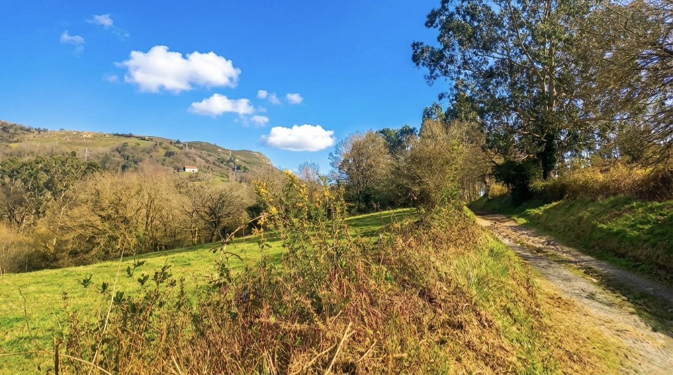 Loriana:Terreno rustico en venta en San Claudio-Trubia-Las Caldas Loriana:Terreno rustico en venta en San Claudio-Trubia-Las Caldas - Imagen 3