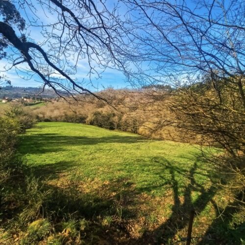 Club VIP Inversores Asturias | Casas, Pisos y Fincas finca en venta