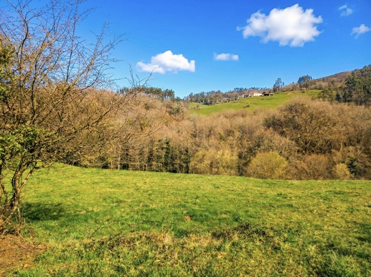 Loriana:Terreno rustico en venta en San Claudio-Trubia-Las Caldas Loriana:Terreno rustico en venta en San Claudio-Trubia-Las Caldas - Imagen 4