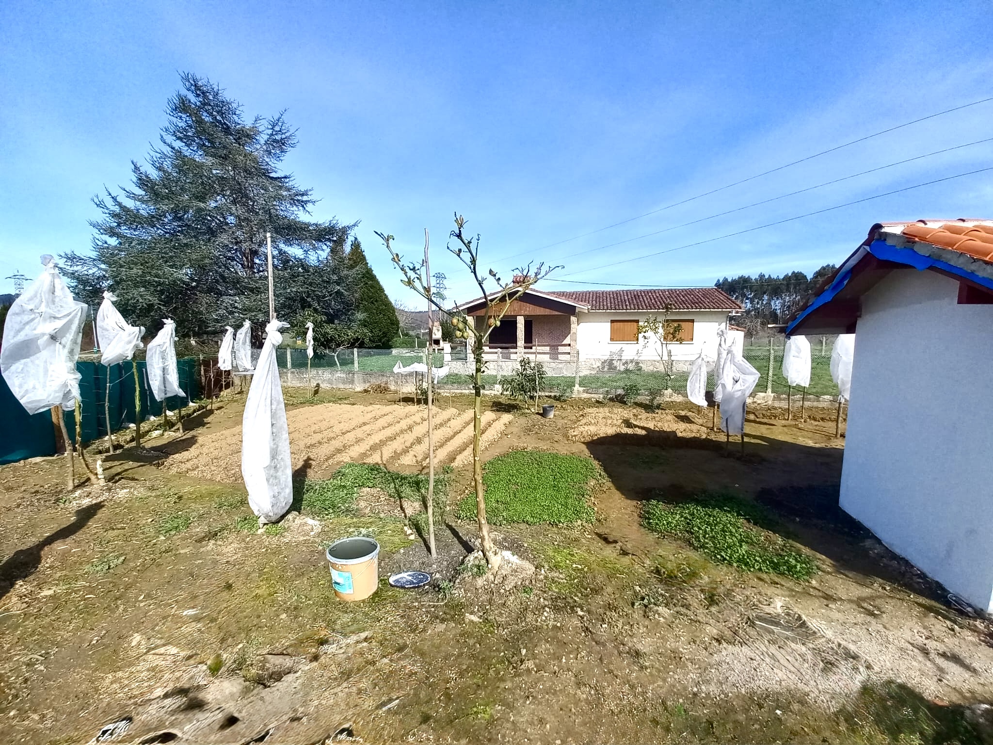 🍅 Tu Imperio del Tamarillo en Colunga: Finca, Refugio y Plan B por 23.000€ 🍅 Tu Imperio del Tamarillo en Colunga: Finca, Refugio y Plan B por 23.000€ - Imagen 10