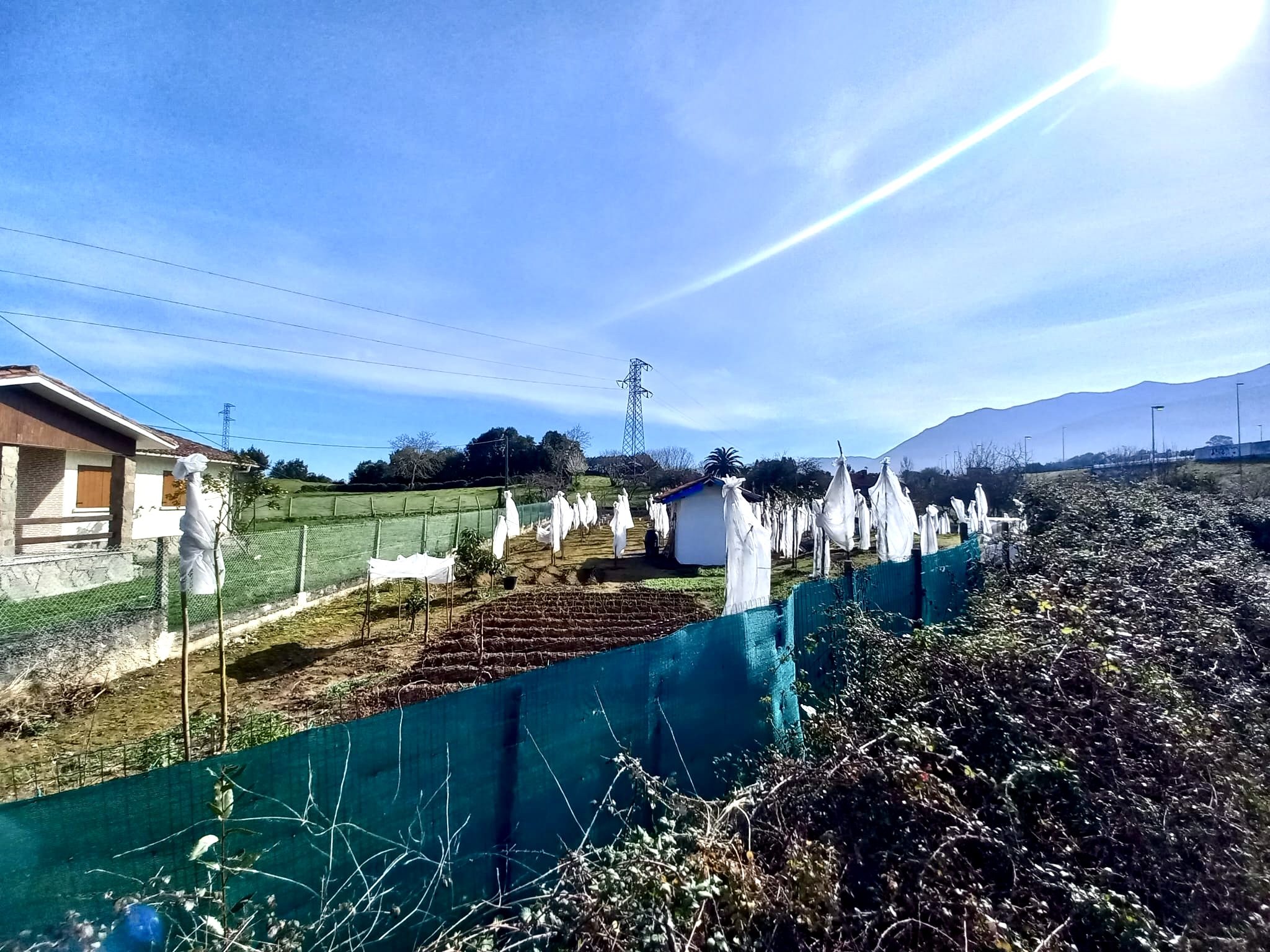🍅 Tu Imperio del Tamarillo en Colunga: Finca, Refugio y Plan B por 23.000€ 🍅 Tu Imperio del Tamarillo en Colunga: Finca, Refugio y Plan B por 23.000€ - Imagen 15