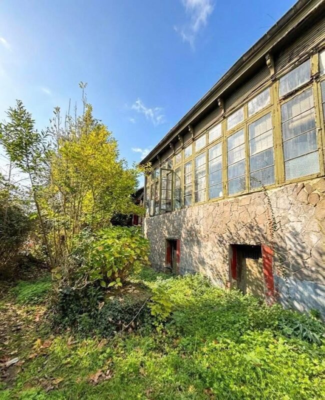 Un análisis sin filtros sobre la fantasía de comprar casas para reformar por 60.000€. Lola Galindo desglosa por qué los "chollos" cerca de la costa no existen, el coste real de una hormigonera y presenta una oportunidad única en la "Casa del Conde": una joya de 1915 con facilidades de pago (entrada de 20k y cuotas de 600€) para quienes realmente quieren mancharse las manos de cal.