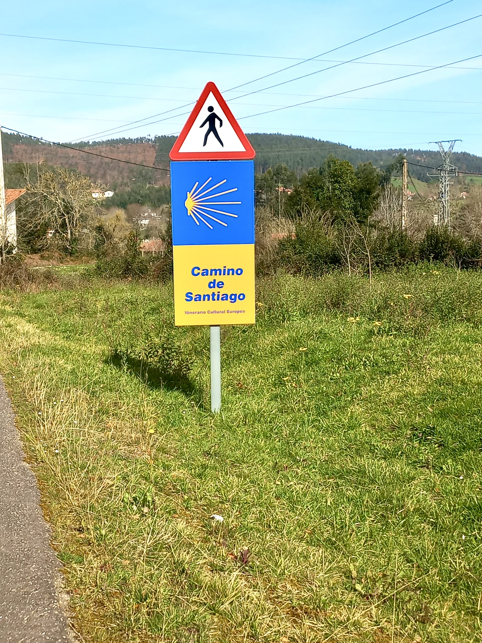 🍅 Tu Imperio del Tamarillo en Colunga: Finca, Refugio y Plan B por 23.000€ 🍅 Tu Imperio del Tamarillo en Colunga: Finca, Refugio y Plan B por 23.000€ - Imagen 6