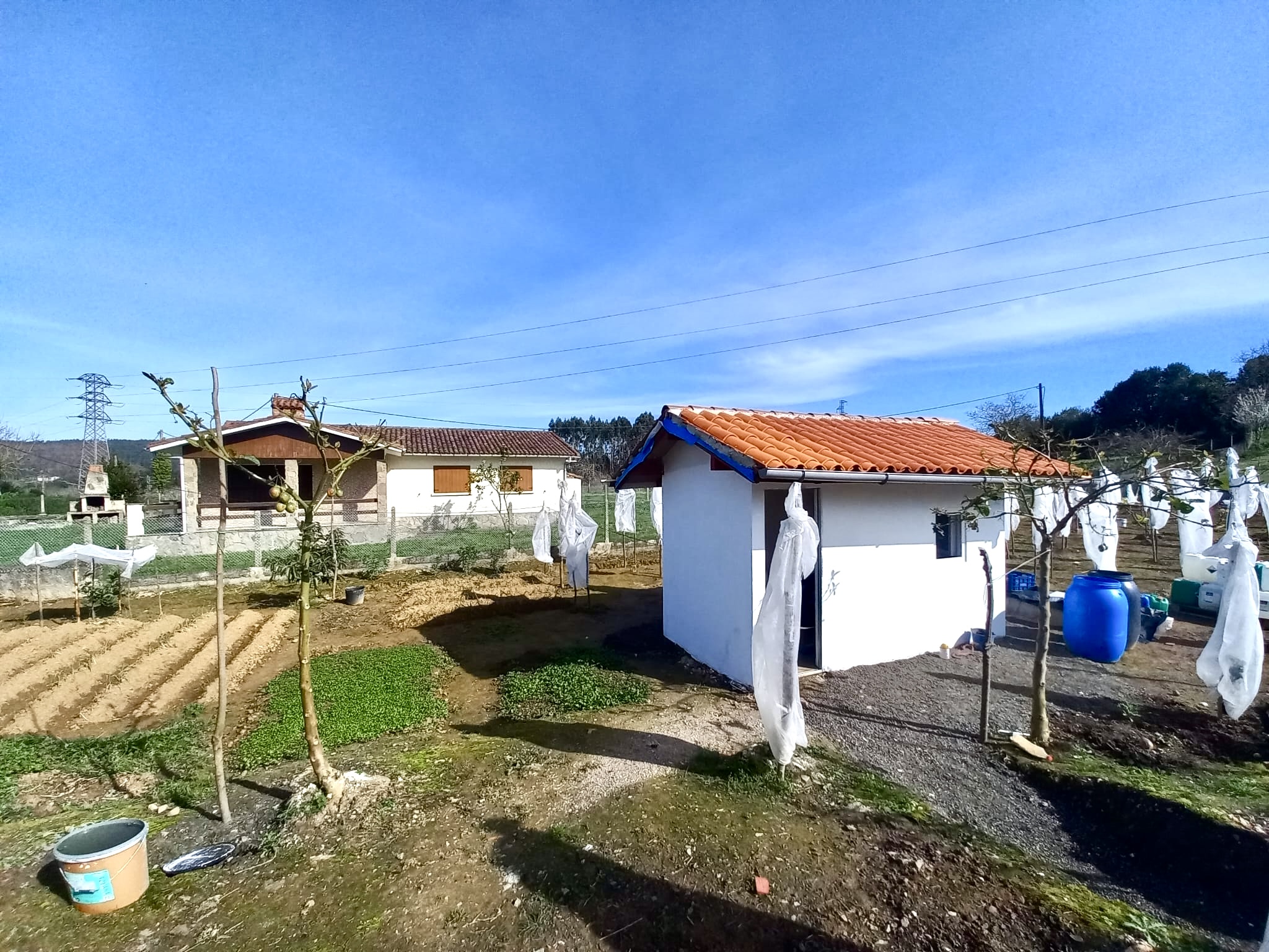 🍅 Tu Imperio del Tamarillo en Colunga: Finca, Refugio y Plan B por 23.000€ 🍅 Tu Imperio del Tamarillo en Colunga: Finca, Refugio y Plan B por 23.000€ - Imagen 9