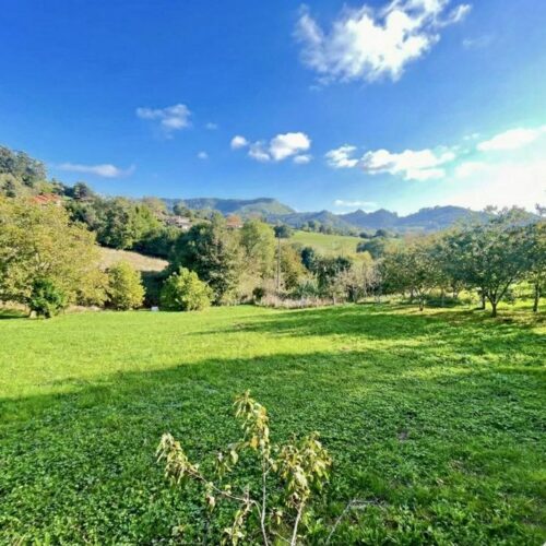 ¡Chollo en Siero! Finca con "Fin de Semana" montado y Proyecto de Chalet de Regalo. Sol, Fiestas y Cero Vecinos.