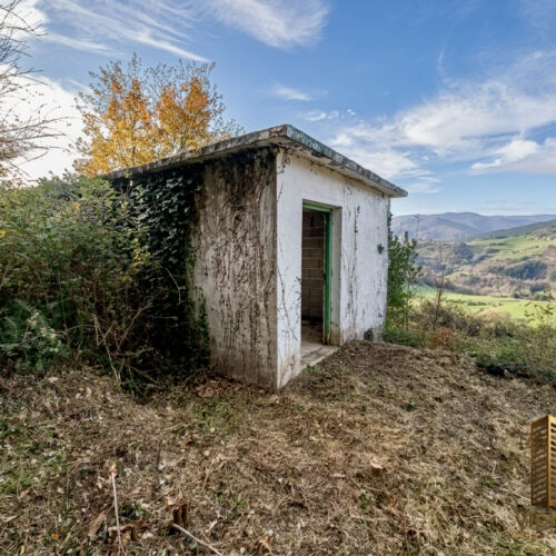 IMG_0608 IMG_0608