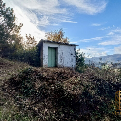 IMG_0609 IMG_0609