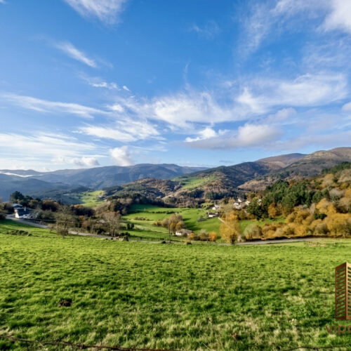 IMG_0612 IMG_0612