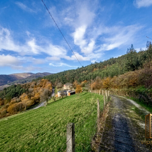 IMG_0615 IMG_0615