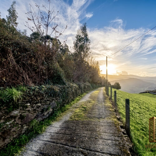 IMG_0616 IMG_0616