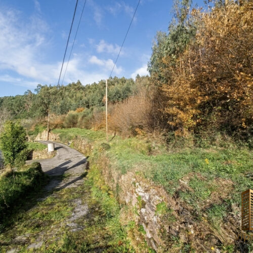 IMG_0619 IMG_0619