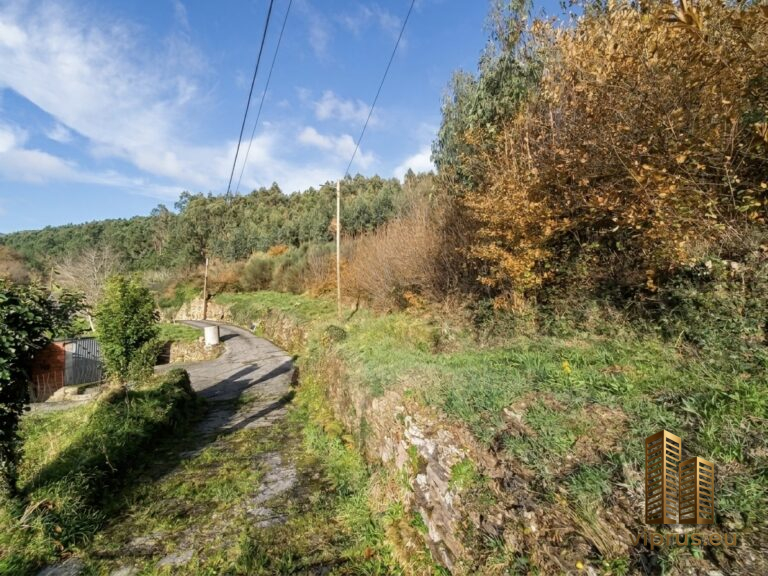 IMG_0619 IMG_0619