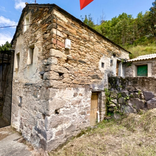 IMG_0650 IMG_0650