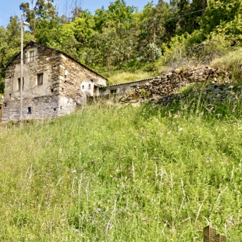 IMG_0655 IMG_0655