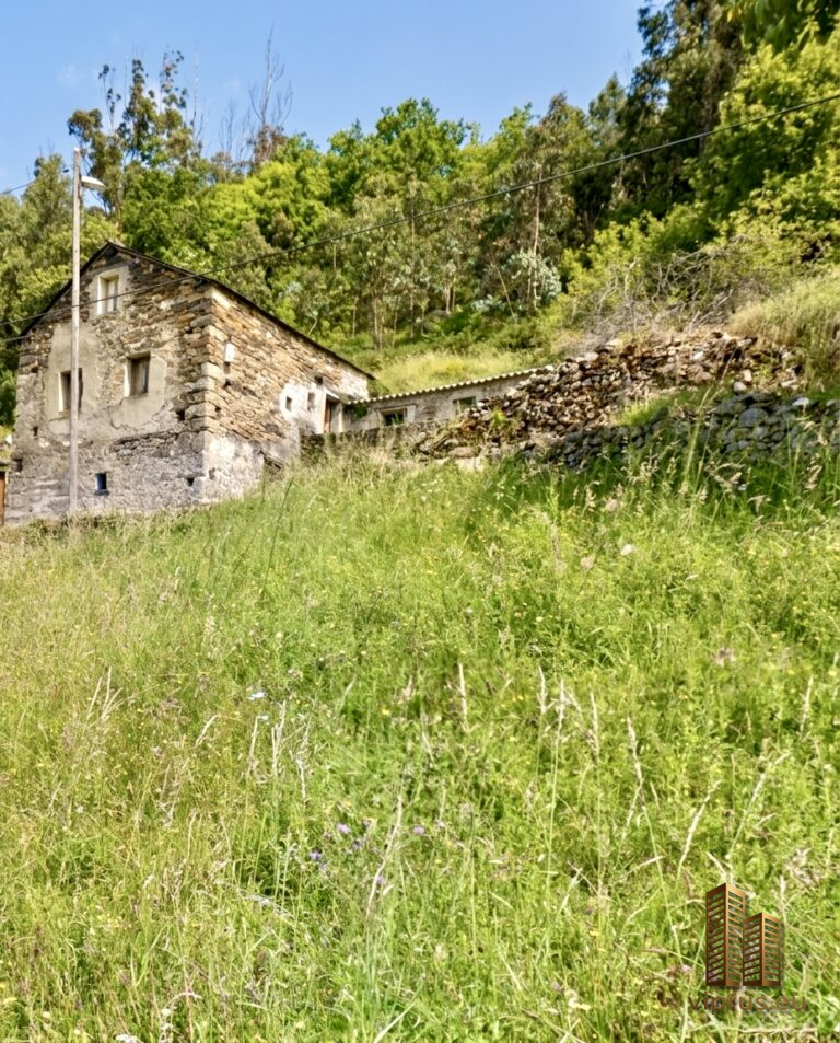 IMG_0655 IMG_0655