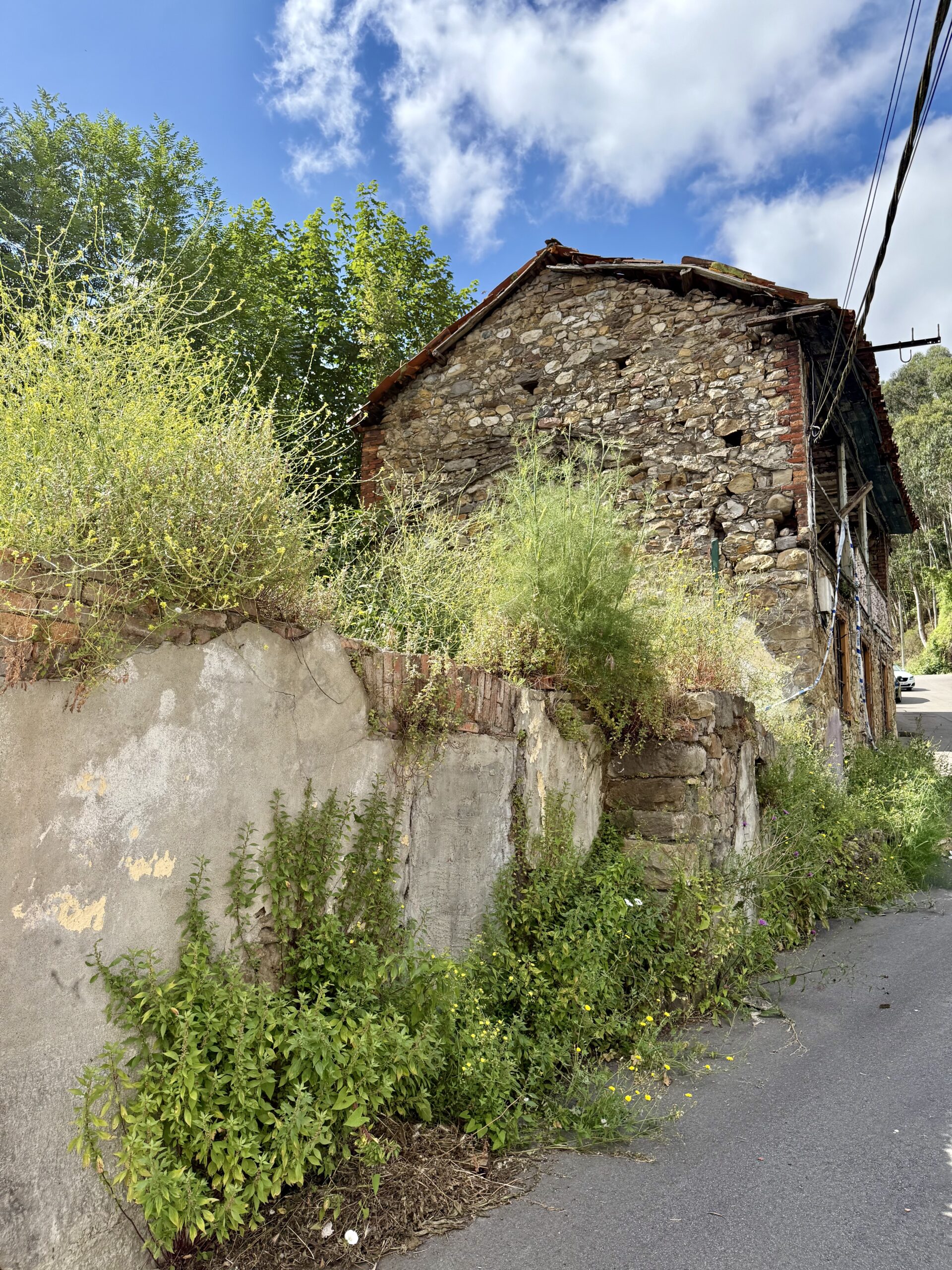 Casona de Santi: El proyecto para quien no se achica ante una ruina Casona de Santi: El proyecto para quien no se achica ante una ruina - Imagen 16