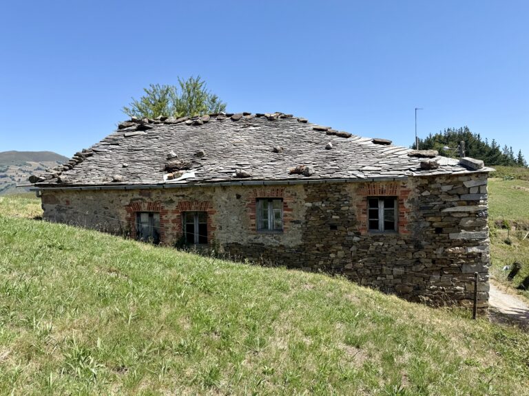 IMG_9973 IMG_9973