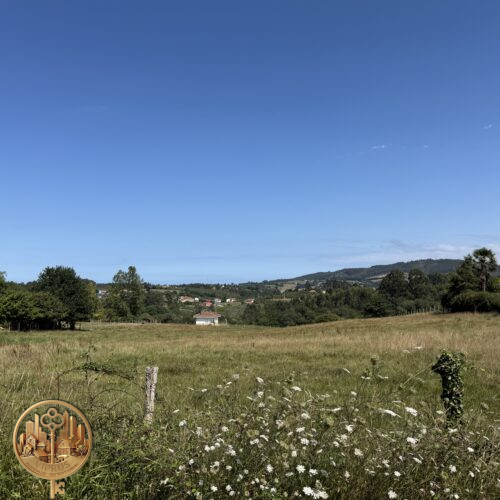 Parcelas de Lujo en Villaviciosa (Asturias) | MonteLuz Residencial
